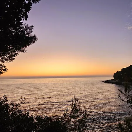 Val 아파트 풀라